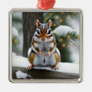 Search for chipmunk christmas tree decorations Wildlife