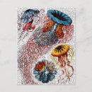 Search for animal vertical postcards Sea
