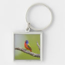 Search for singing bird key rings Nature