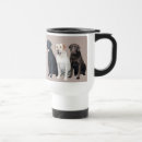 Search for labradors mugs Labs