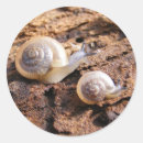 Search for wildlife photography stickers Baby