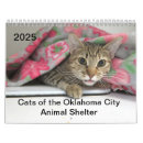 Search for cat calendars Kitty
