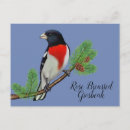 Search for breasted postcards White