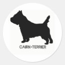 Search for cairn stickers Pets