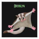 Search for gliders posters Sugar glider