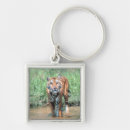 Search for looking front key rings Outdoors