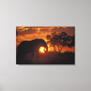Search for botswana canvas prints Safari