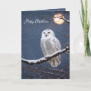 Search for snowy owl christmas cards Blue
