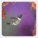 Search for mcdonalds stickers Mary ann mcdonald