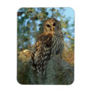 Search for moss magnets Usa