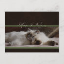 Search for hug postcards Blue