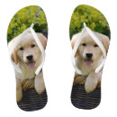Search for charm shoes For her