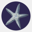 Search for shell stickers Indigo