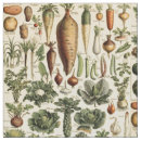 Search for vegetable fabric Garden