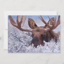 Search for wyoming cards Grand teton national park