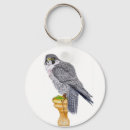 Search for peregrine falcon key rings Falconry