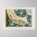 Search for vintage dragonfly posters Dragonflies