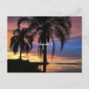 Search for clearwater postcards Tropical