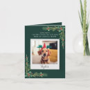 Search for funny dog cards Modern