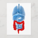 Search for digestion postcards Appendix