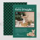 Search for furry cards Furry and bright