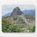 Search for machu electronics Inca