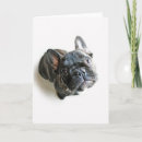 Search for looking up cards Pet