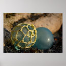 Search for fishing float posters Ball