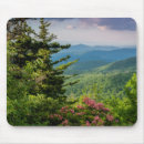 Search for parkway mousepads Forest