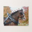 Search for draft horse puzzles Clydesdale
