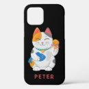Search for good fortune iphone cases Japanese