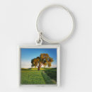 Search for surrounding key rings Colourful