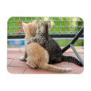 Search for images magnets Friends