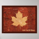 Search for birch leaf posters Maple