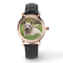 Search for schnauzer watches Pet