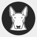 Search for medium size stickers Medium sized dog