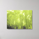 Search for tempered art Forest
