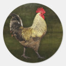 Search for cockerels stickers Farm