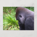 Search for contemplation postcards Photography