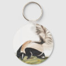 Search for skunk key rings Wildlife