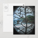Search for tree photo postcards Ocean