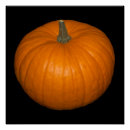 Search for pumpkins at posters Food