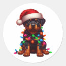 Search for rotty stickers Cute