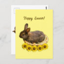 Search for sunflower lover postcards Cute