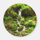 Search for redwood national park magnets Nature