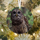 Search for barred owl christmas tree decorations Wildlife