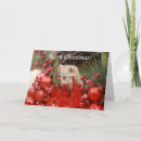 Search for kitty christmas cards Red