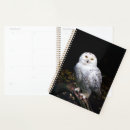 Search for owl planners Animal