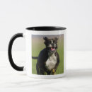 Search for excited mugs Joy