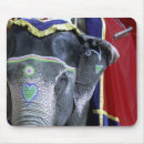 Search for amberes mousepads Animal